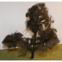 TR5 Medium Dead / Winter Tree.  160mmtall x 150mm No Scale